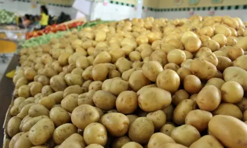 Limão e melancia ficam mais caros, enquanto chuchu e batata têm redução de preço nas Ceasas do Paraná