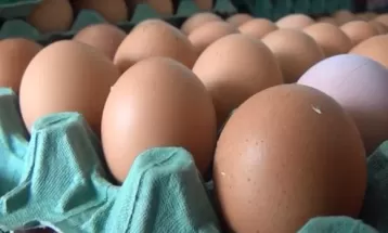 Paraná é o quinto maior produtor de ovos do país, aponta Seab