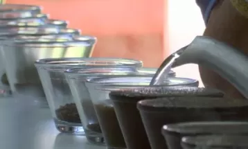 Concurso escolhe melhores cafés especiais do Paraná