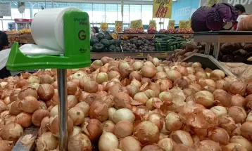 Cebola apresenta aumento expressivo nas Ceasas