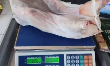 Paca é encontrada morta em freezer e homem é preso e multado em R$ 8 mil, em Iporã 