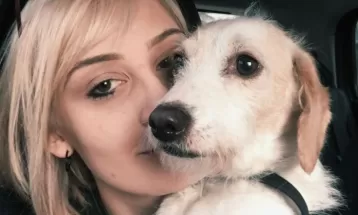 Na busca por cachorra que fugiu, dona ajuda outras famílias a reencontrar cães perdidos: 'Não está sendo em vão'