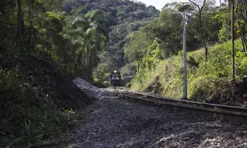 Passeio de trem pela Serra do Mar está com saídas diárias em dezembro; confira detalhes do trajeto 