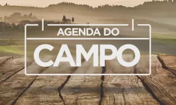 Confira a agenda do campo da semana 
