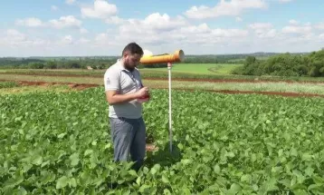 Paraná registra ‘precocemente’ casos de ferrugem asiática; veja municípios afetados