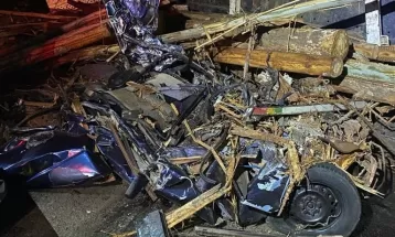 Cinco pessoas morrem após toras de eucalipto caírem de caminhão sobre carros 