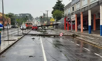 Temporal derruba árvores, danifica residências e deixa bairros de Curitiba sem água e energia; veja regiões afetadas