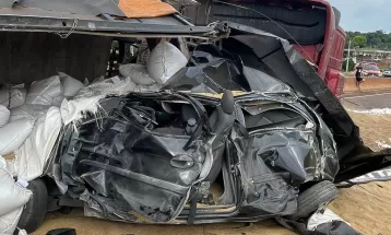 Carreta bate em outros 7 veículos após PRF bloquear pista da BR-369 para retirada de cavalo; homem está em estado grave 