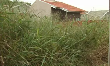 Lei que autoriza Prefeitura de Curitiba a limpar terrenos baldios e depois cobrar dos proprietários é aprovada na Câmara