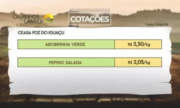 Tomate em alta e pimentão mais barato: confira a cotação das Ceasas do Paraná 