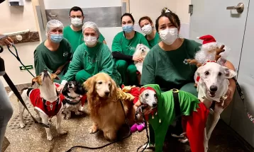 FOTOS: cachorrinhos animam rotina de pacientes e funcionários de hospitais neste fim de ano