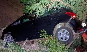 Motorista perde controle da direção e bate carro contra árvore na PR-182, em Francisco Alves