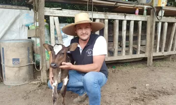 Bezerra nasce com mancha em formato de coração na cabeça; VÍDEO