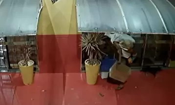 VÍDEO: Homem 'expulsa' cachorro ao furtar casinha no Paraná