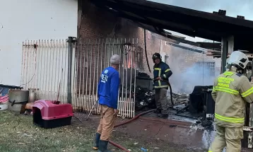 Pelo menos 10 animais morrem carbonizados após casa de protetora pegar fogo em Paranavaí