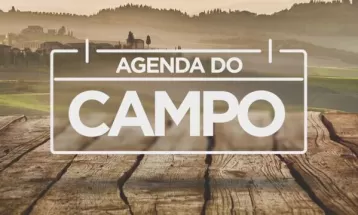 
Caminhada em Mandirituba e Show Rural: confira a agenda do campo