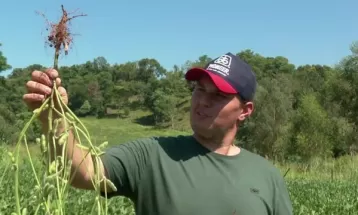 Família agricultora investe em bioinsumos como alternativa natural para combate de pragas