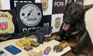 Quatro pessoas foram presas em operação contra o tráfico de drogas no Paraná, SC e SP, diz polícia