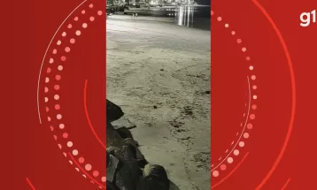 VÍDEO: turista flagra ratos andando na areia na praia de Guaratuba