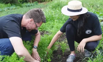 Agricultura regenerativa propõe 'próximo passo' na produção sustentável do Paraná