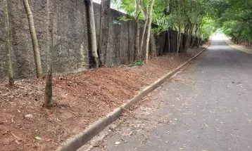 Médico que estava desaparecido é encontrado morto em cova de bosque de Umuarama; suspeito confessou crime