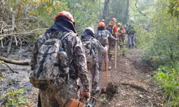 Paranaenses ajudam em combate a incêndios florestais no Chile