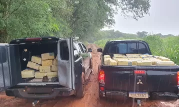PF apreende 910 kg de maconha encontrada em mata de Santa Helena