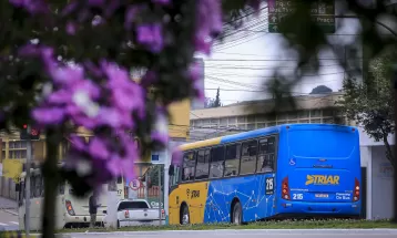 Araucária diminui tarifa do transporte público para R$ 1,25; é a 8ª queda consecutiva em 5 anos
