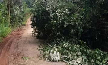 Chuva provoca estragos em Campo Largo; aulas foram canceladas