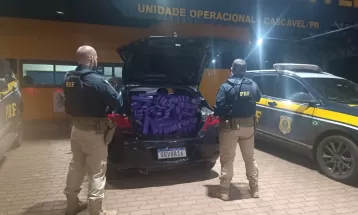 Polícia apreende 147 quilos de maconha escondida em carro em Cascavel
