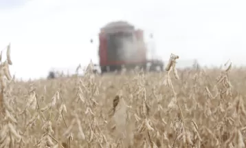 Setor agrícola do Paraná estima prejuízo de R$ 600 milhões no escoamento de soja devido a problema na BR-277 