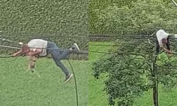 VÍDEO: Homem se pendura em fiação para furtar cabos de cobre, em Curitiba; ele foi preso