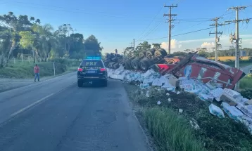 Caminhão carregado com papel higiênico tomba e espalha parte da carga na BR-153, em Rebouças