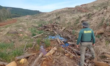 Operação contra desmatamento ilegal de Mata Atlântica no Paraná rende mais de R$ 5 milhões em multas, diz Ibama