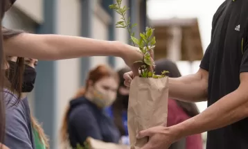 UEPG distribui 3 mil mudas de árvores em troca de 1 kg de alimento nesta sexta-feira (24); veja como participar