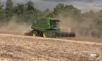 Paraná tenta ampliar negócios com a China para venda de carne suína