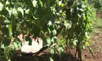 Justiça mantém prisão preventiva de homem suspeito de abandonar filha de 9 meses em terreno em Maringá