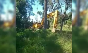 Duas pessoas são presas e multadas em R$ 147 mil após polícia encontrar mais de 6 hectares de vegetação nativa destruídos em Fernandes Pinheiro
