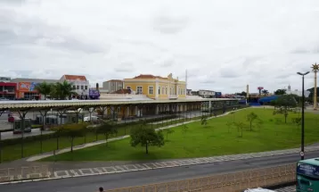 Ponta Grossa promove ação com corte de cabelo, orientação jurídica e distribuição de mudas neste sábado (15); veja onde