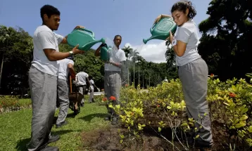 IAT oferece cursos gratuitos em Matinhos; veja como se inscrever