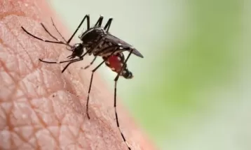 Foz do Iguaçu passa de 35 mil notificações e chega a quase 3 mil casos confirmados de dengue; veja onde procurar atendimento 