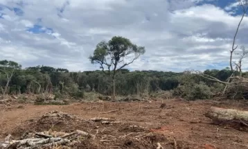 Quatro pessoas são presas e multadas em R$ 132 mil por desmatamento de área de 5 hectares de Mata Atlântica em Imbituva