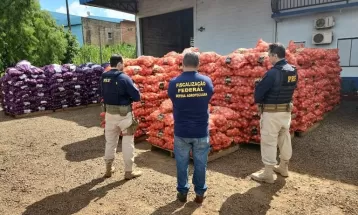 Mais de 480 toneladas de produtos agropecuários em situação irregular são apreendidas, e uma pessoa é presa durante operação no Paraná