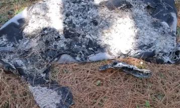 Tapete da casa de mulher encontrada morta no próprio carro é localizado queimado com documento do marido às margens da BR-116 no PR