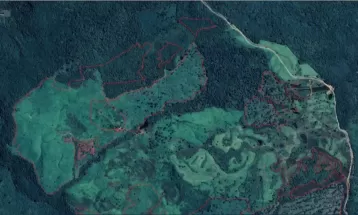 Com ajuda de imagens de satélite, valor de multas ambientais contra desmatamento sobe até 150% na região central do Paraná