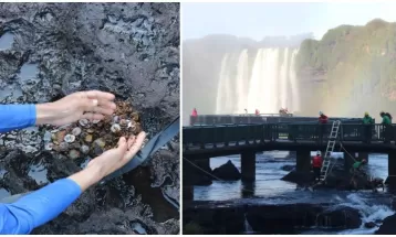 Por que jogar moedas nas Cataratas do Iguaçu prejudica biodiversidade do Parque Nacional do Iguaçu? 
