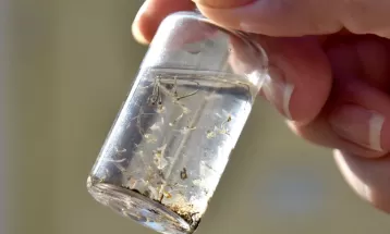 Dengue: Foz do Iguaçu chega a 18 mortes e atinge maior número de vítimas da história da cidade 