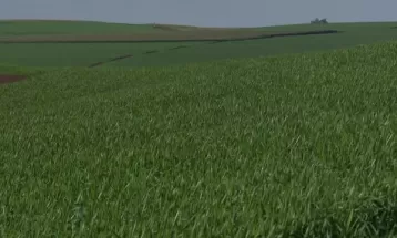 Plantação de trigo cresce 13% em um ano no Paraná, aponta Seab