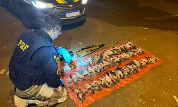 Caçador é preso com 66 aves silvestres mortas no sudoeste do PR