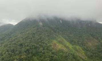 Avião que desapareceu é encontrado no Paraná, diz FAB